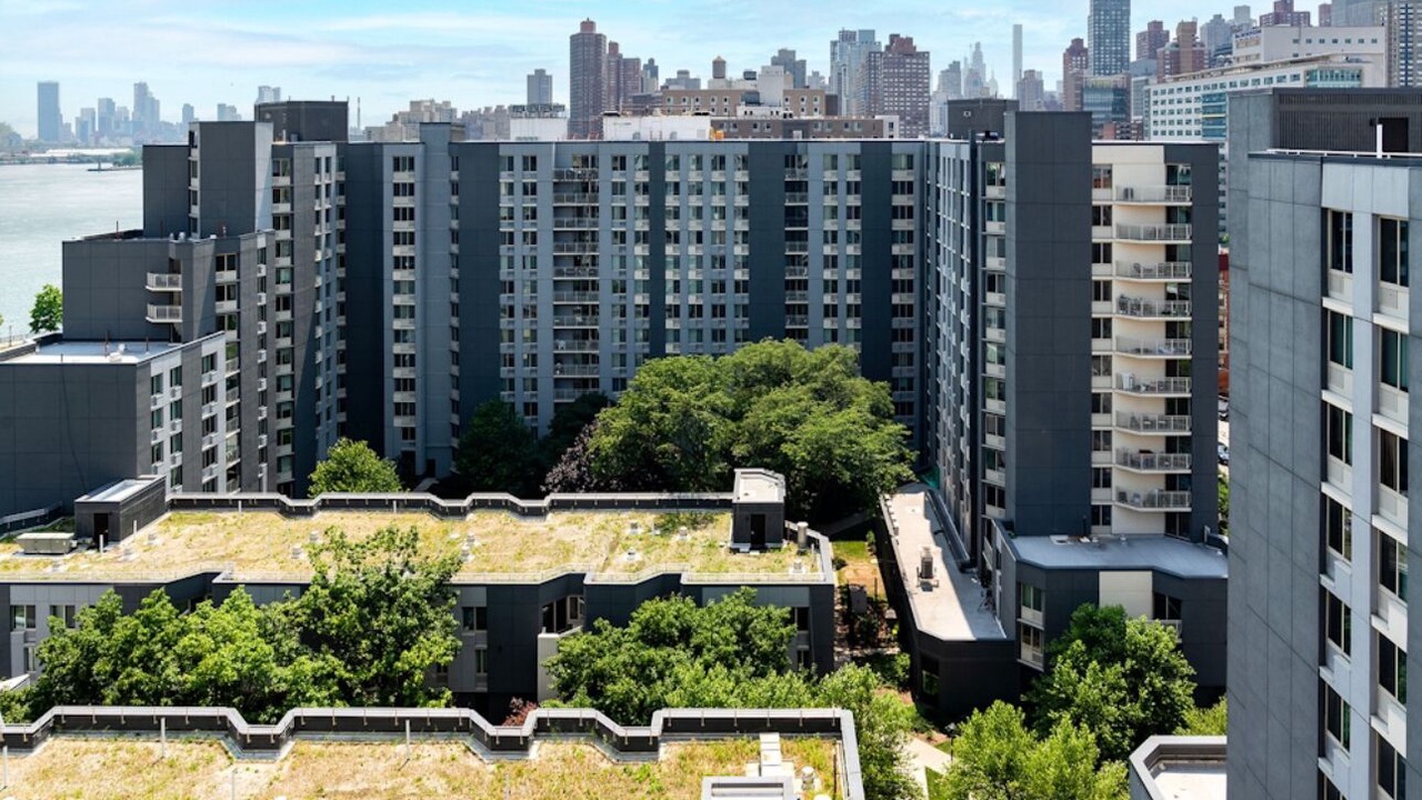 Photo of Outdoor in East Harlem