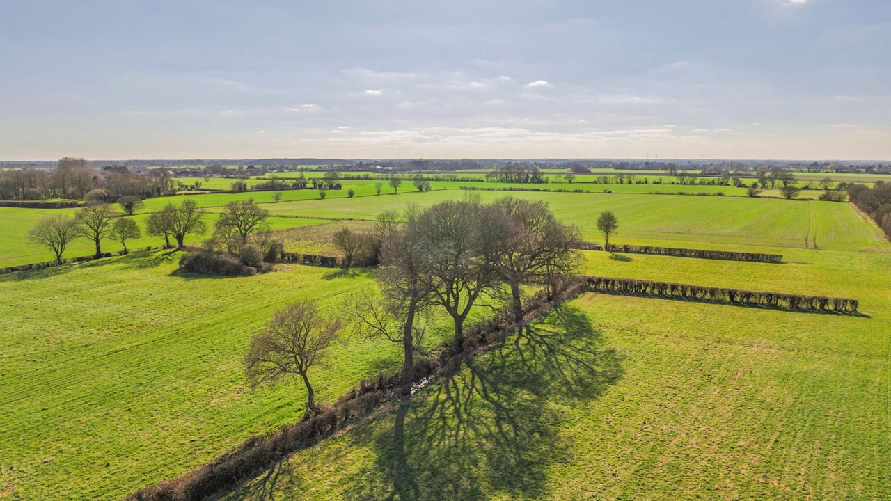 Photo of Others in Diss