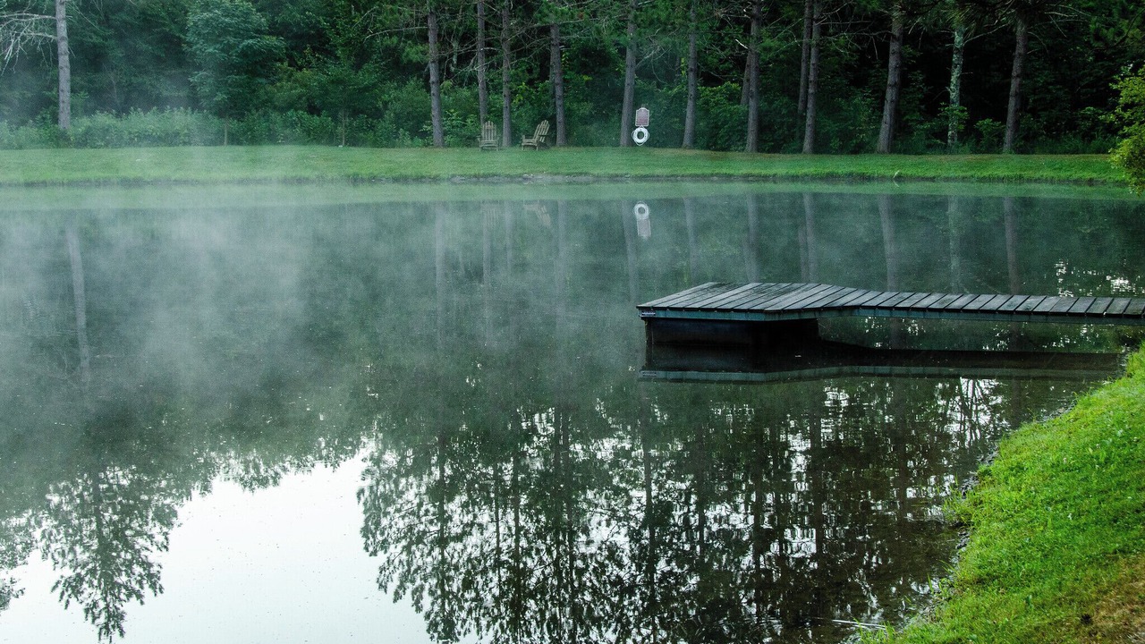 Photo of Others in Rochester