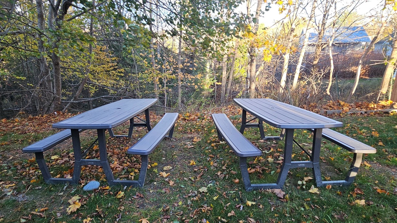 Photo of Outdoor in Southwest Harbor