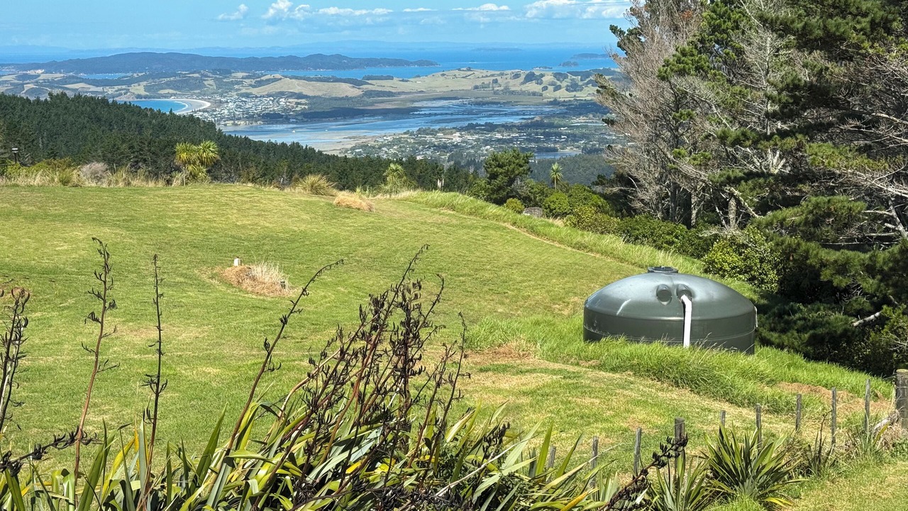 Photo of Outdoor in Whangateau