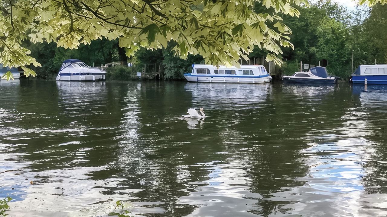 Photo of Others in Beccles