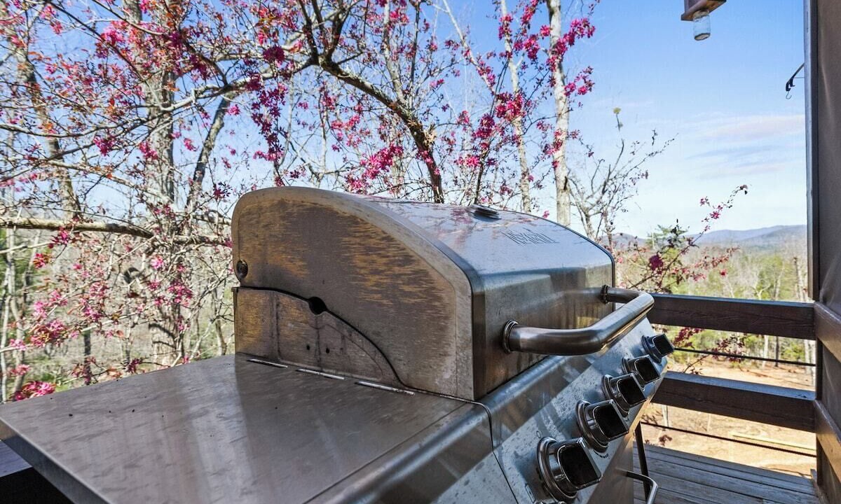 Photo of Others in My Mountain