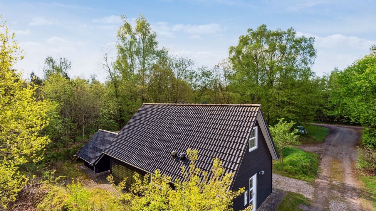 Photo of Others in Skygge