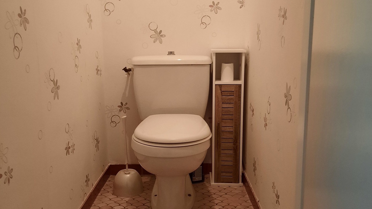 Photo of Bathroom in Pau Nord