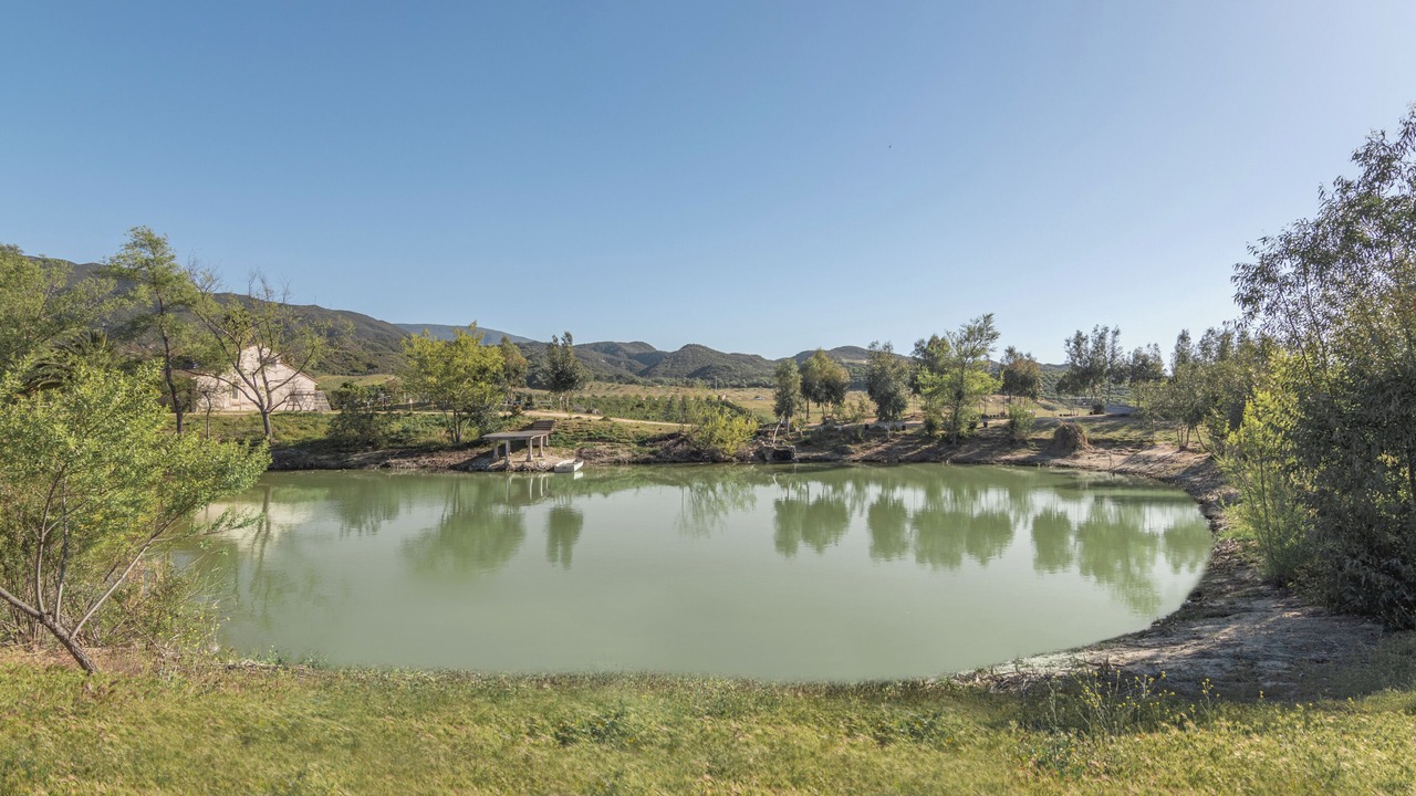 Photo of Others in Temecula