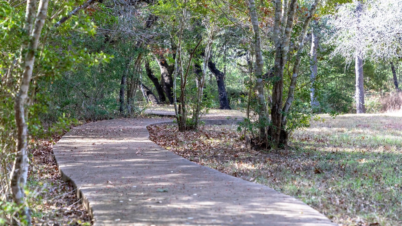 Photo of Others in Shady Hollow