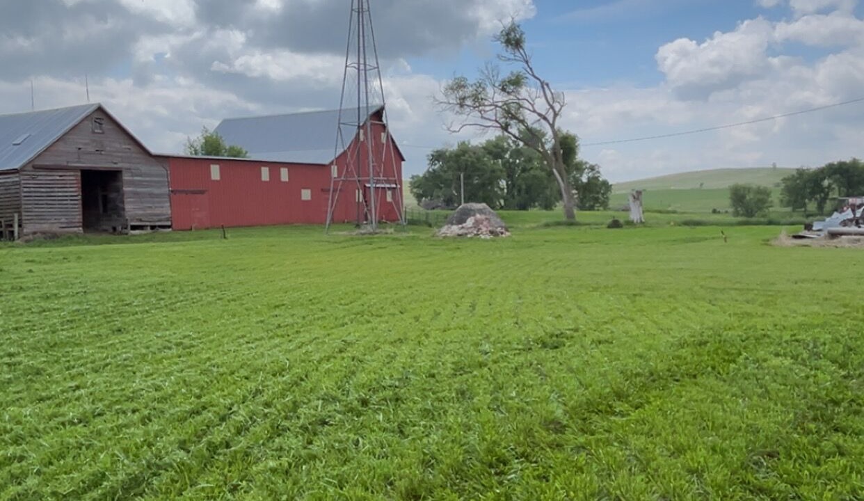 Photo of Outdoor in Springdale
