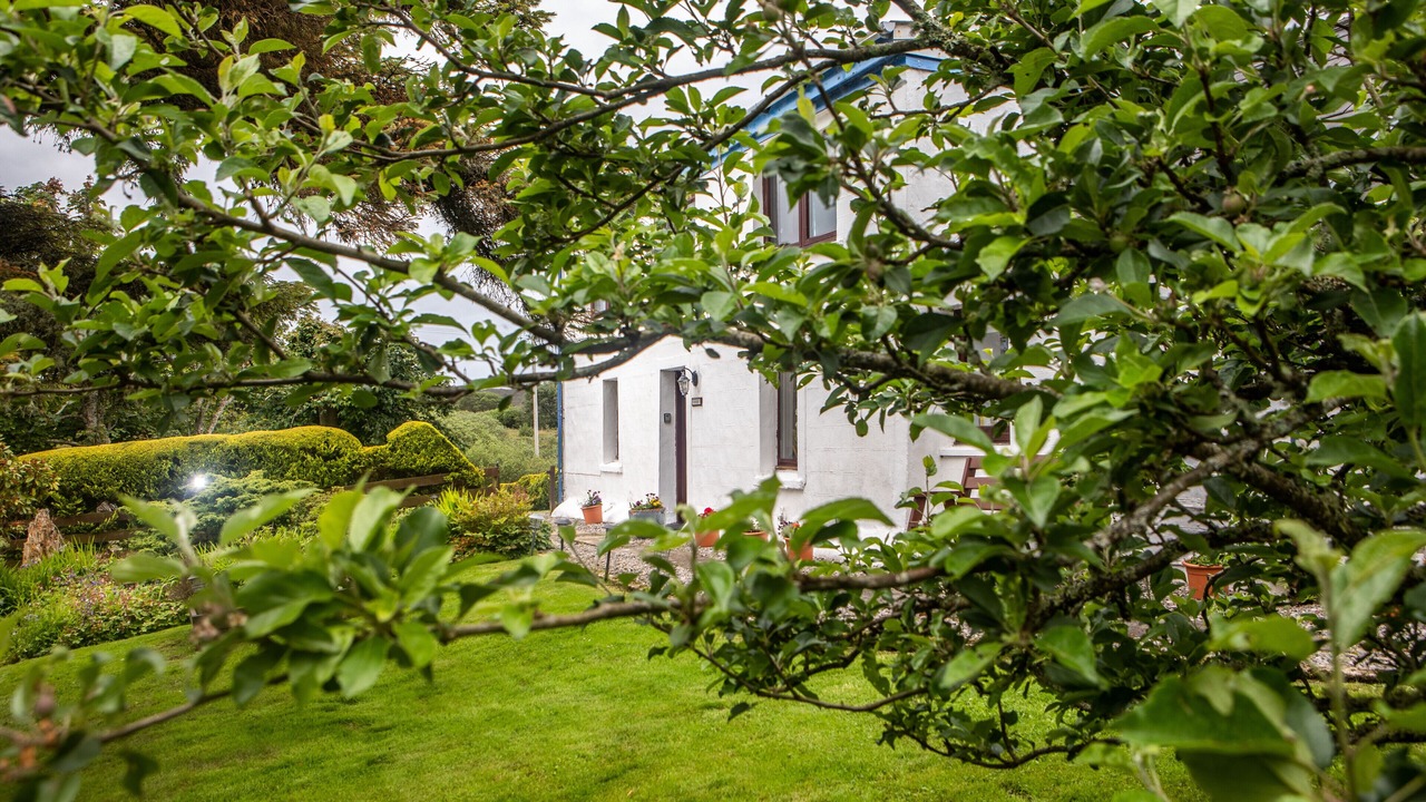 Photo of Outdoor in Breakish