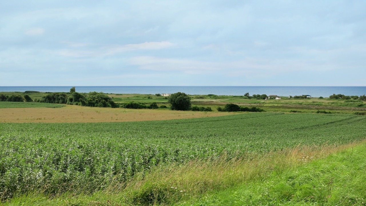 Photo of Others in Ver-sur-Mer