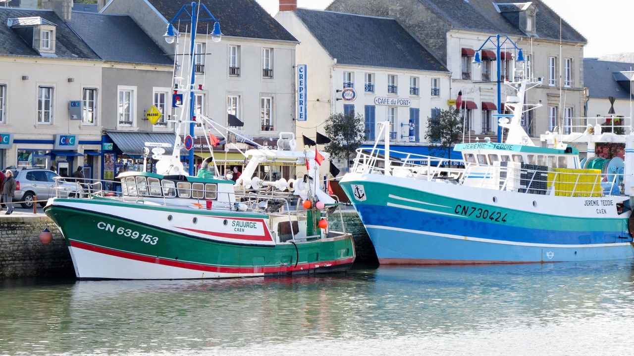 Photo of Others in Ver-sur-Mer