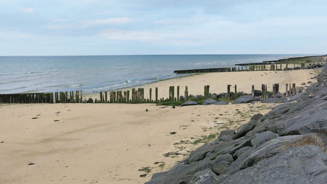 Photo of Others in Ver-sur-Mer