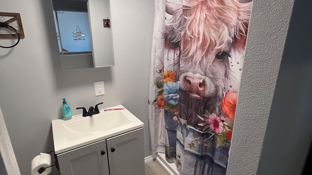Photo of Bathroom in Lake Brownwood