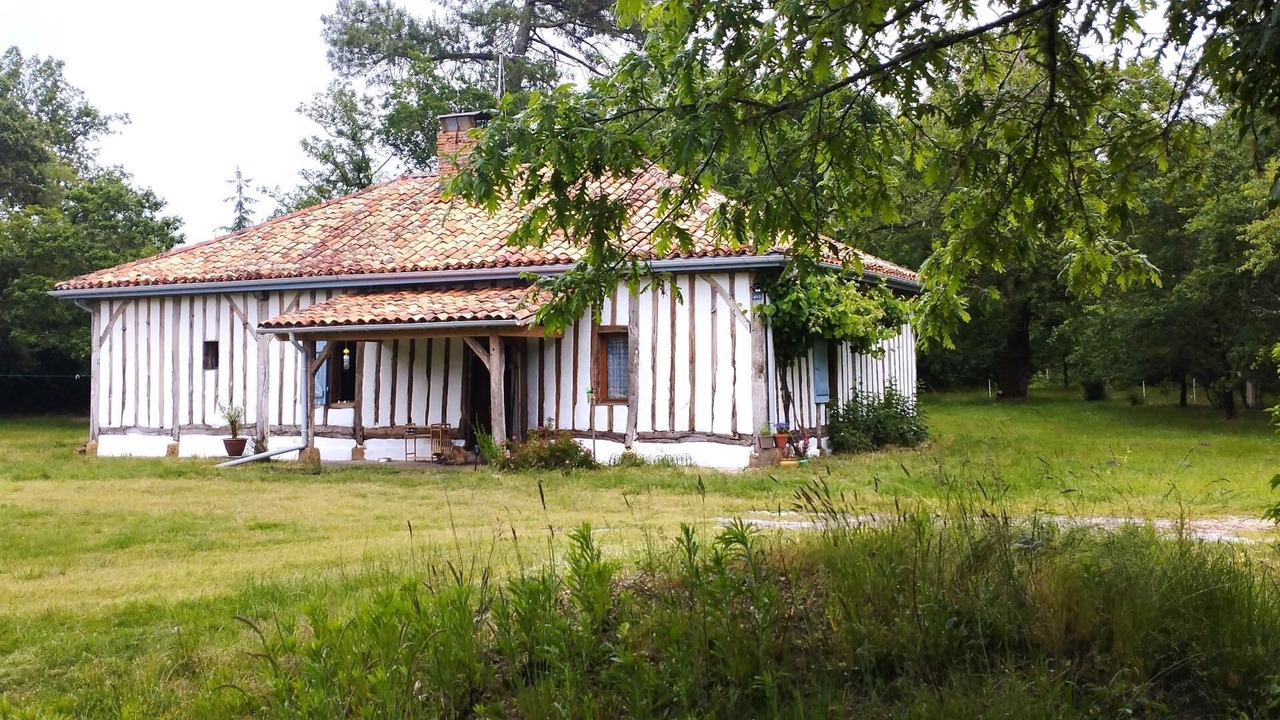 Photo of Outdoor in Sabres