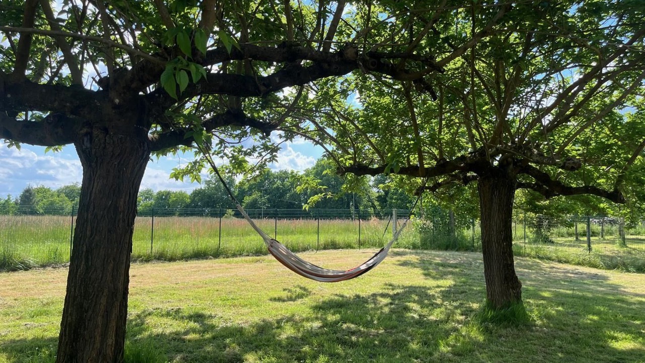 Photo of Outdoor in Betbezer-d'Armagnac