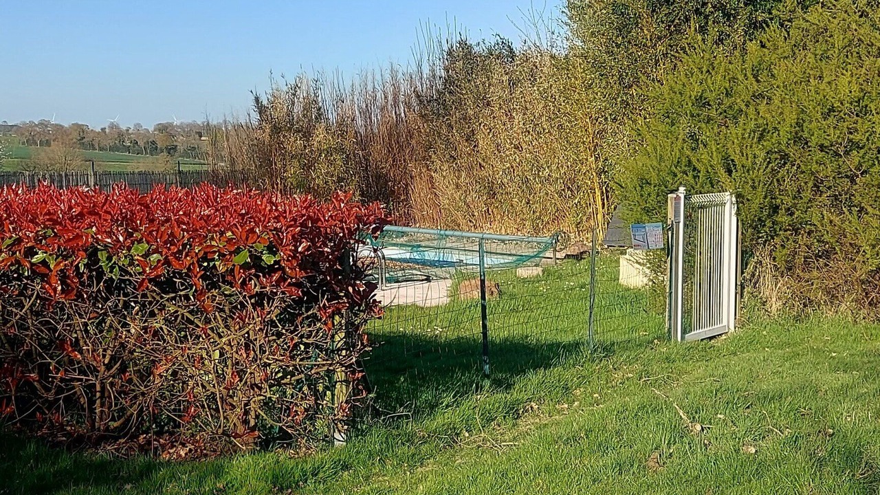 Photo of Outdoor in Teillay