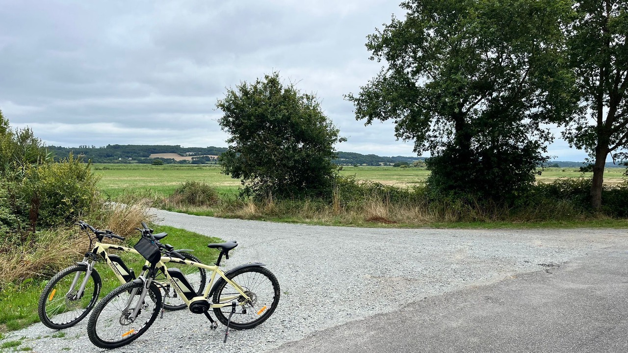 Photo of Others in Saint-Dolay