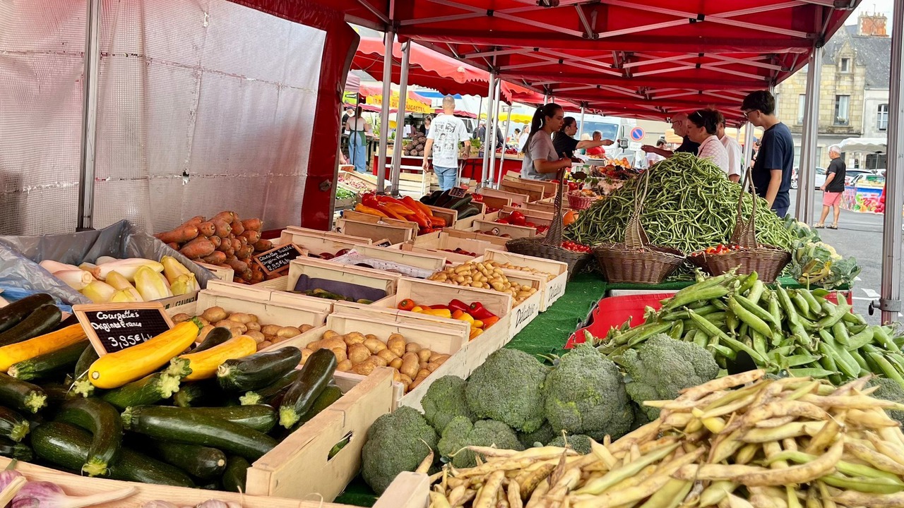 Photo of Others in Saint-Dolay