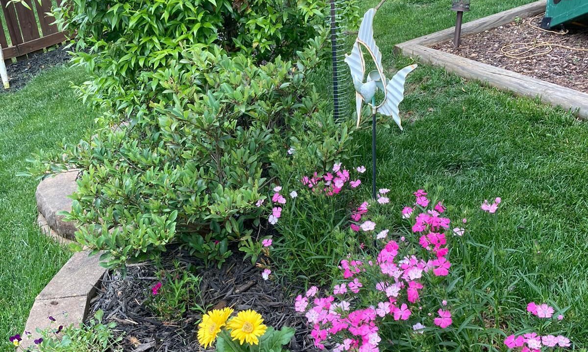 Photo of Outdoor in Mebane