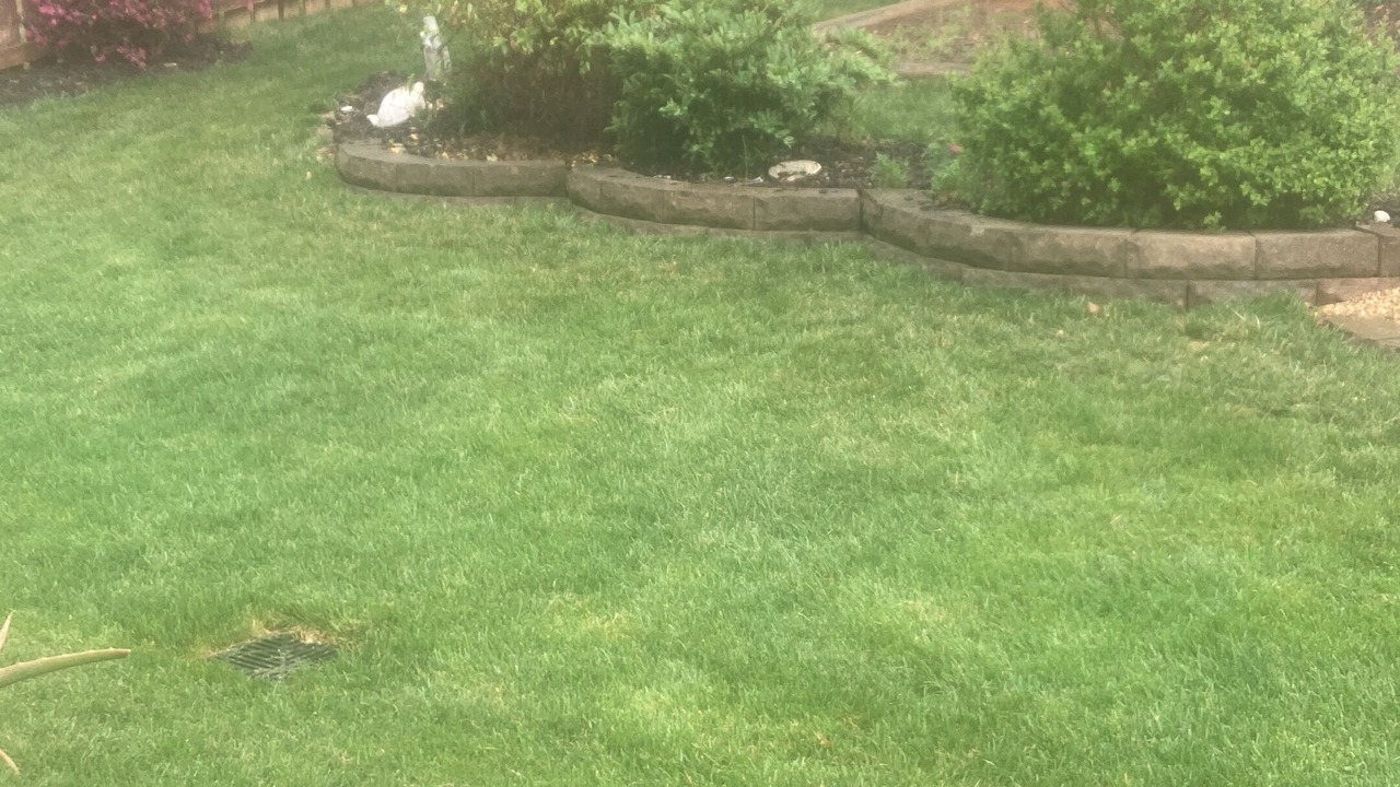 Photo of Outdoor in Mebane