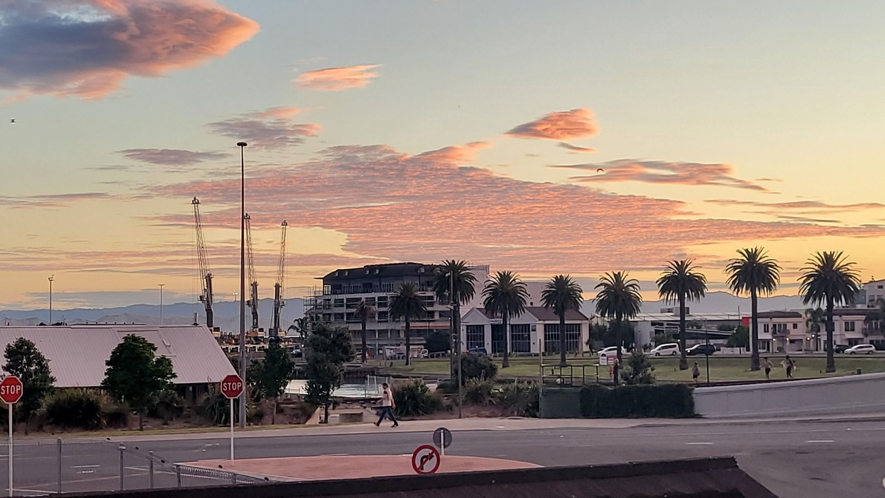 Photo of Others in Gisborne