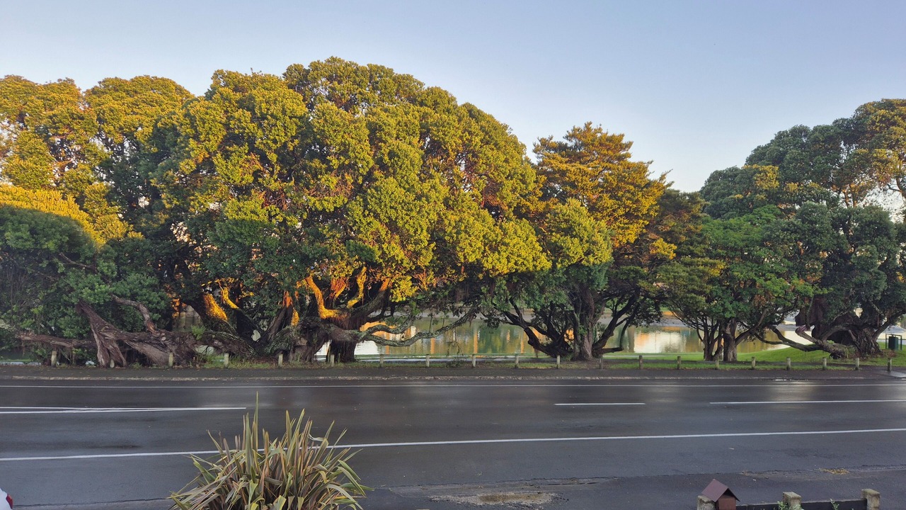 Photo of Others in Gisborne