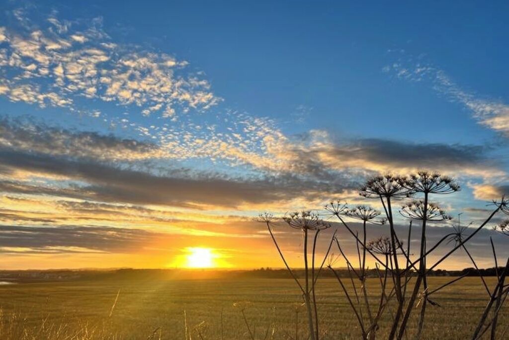 Photo of Others in Letham Grange