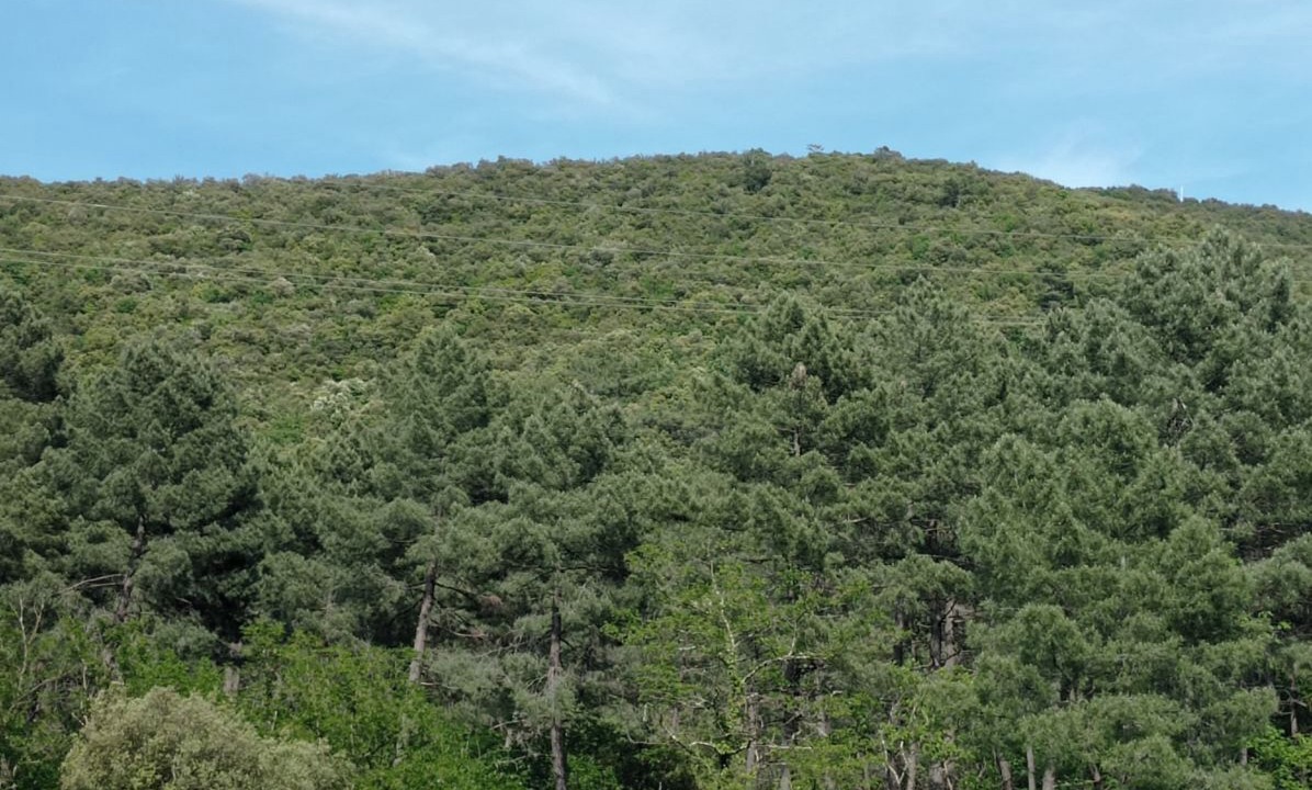 Photo of Others in Le Martinet