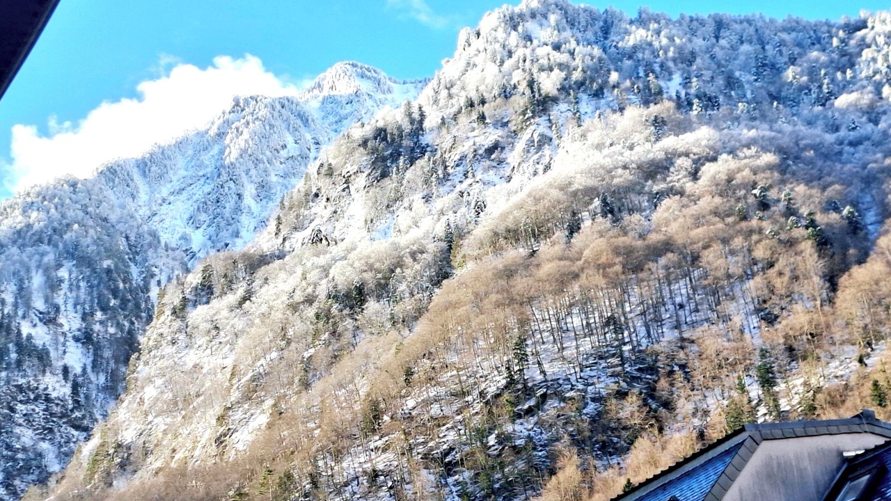Photo of Others in Cauterets