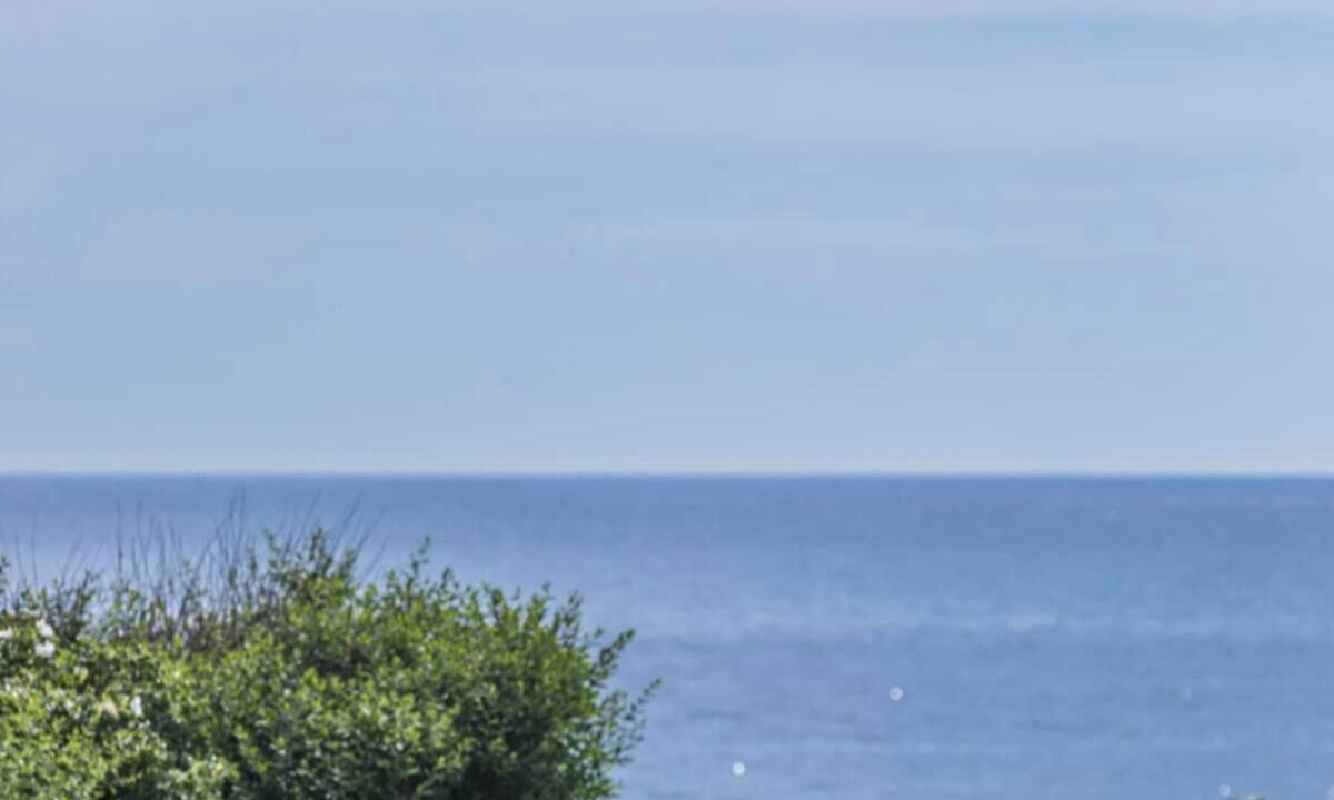 Photo of Outdoor in Rye