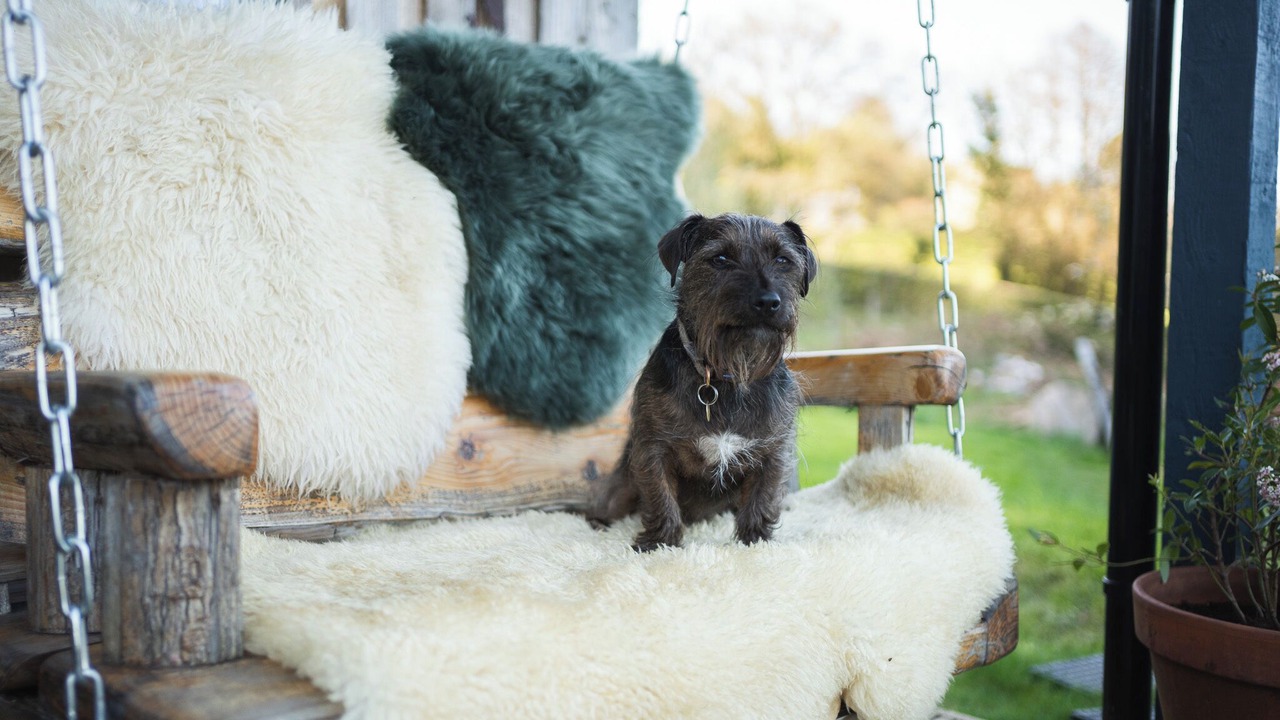 Photo of Outdoor in Mitcheldean