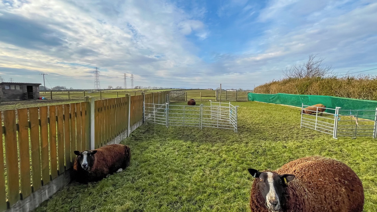 Photo of Others in Wigton