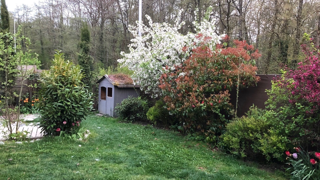 Photo of Outdoor in La Balme-de-Sillingy