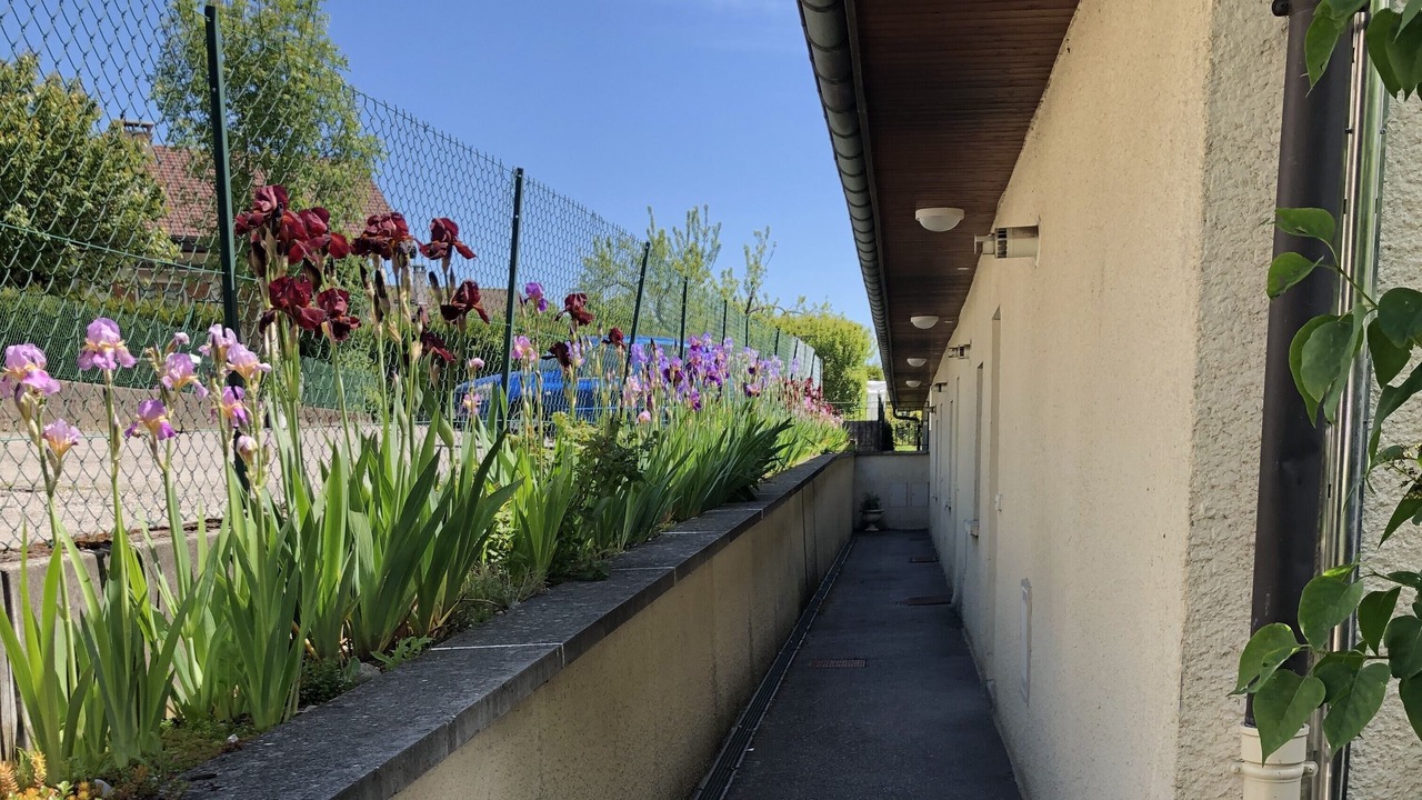 Photo of Outdoor in La Balme-de-Sillingy