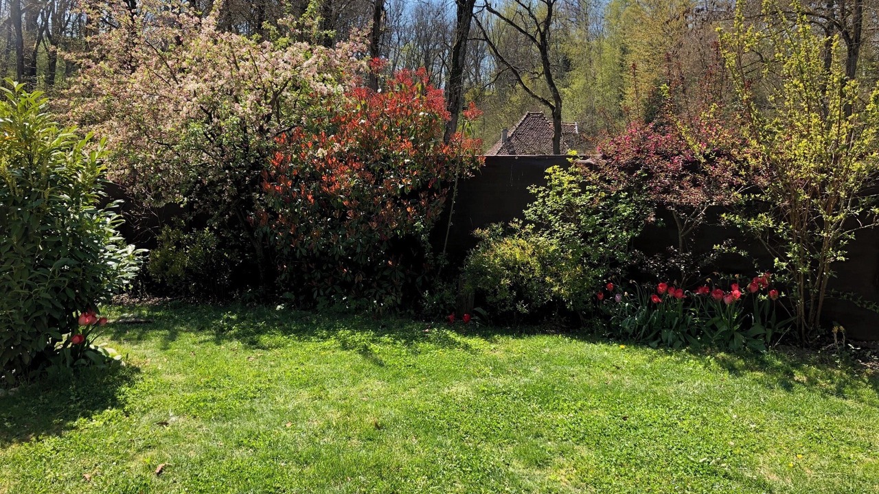 Photo of Outdoor in La Balme-de-Sillingy