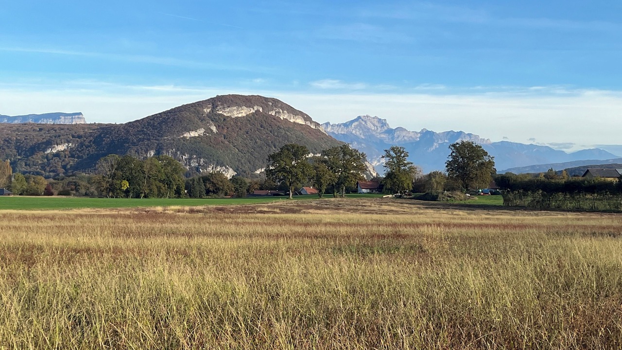 Photo of Others in La Balme-de-Sillingy