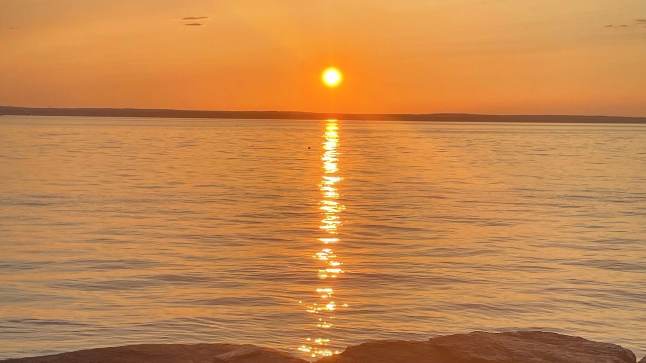 Photo of Others in Melville