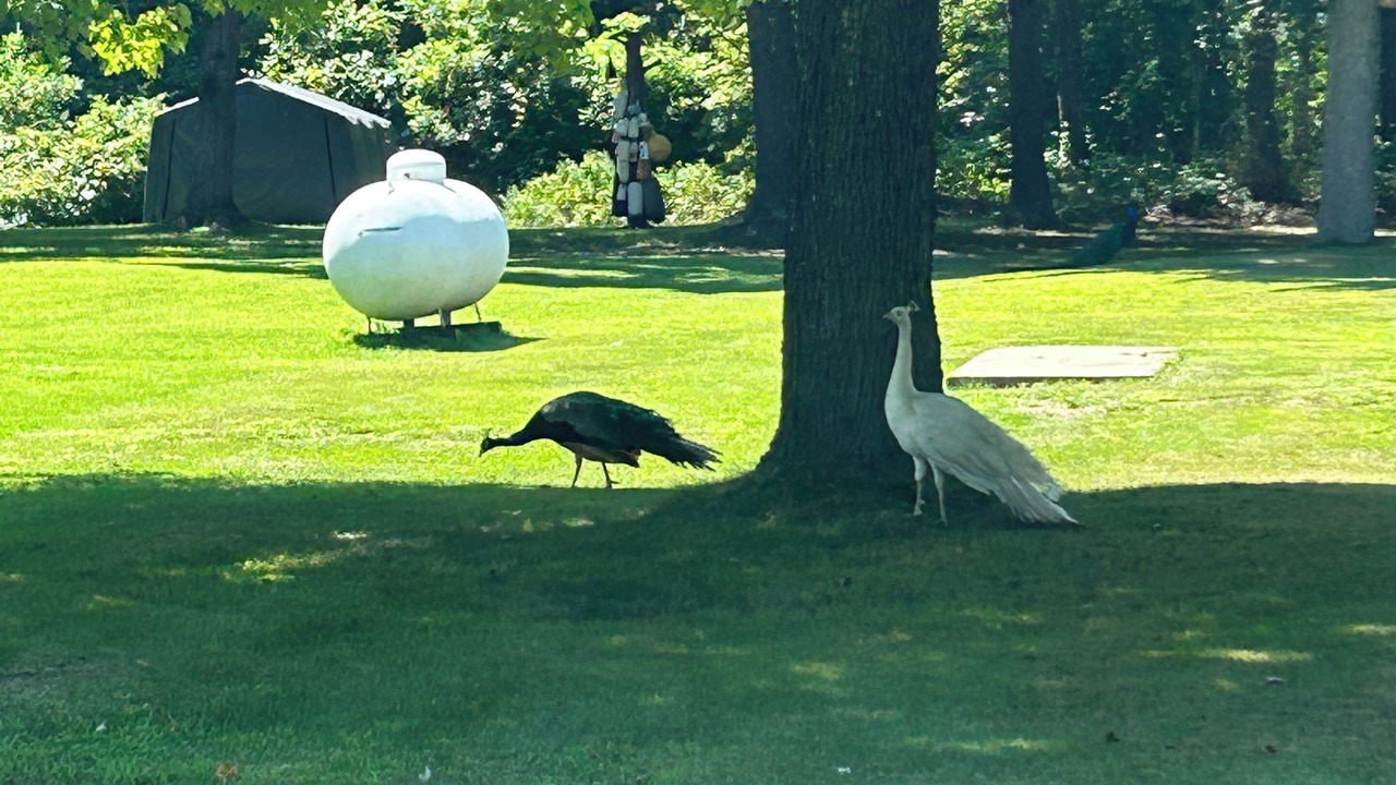 Photo of Others in Melville