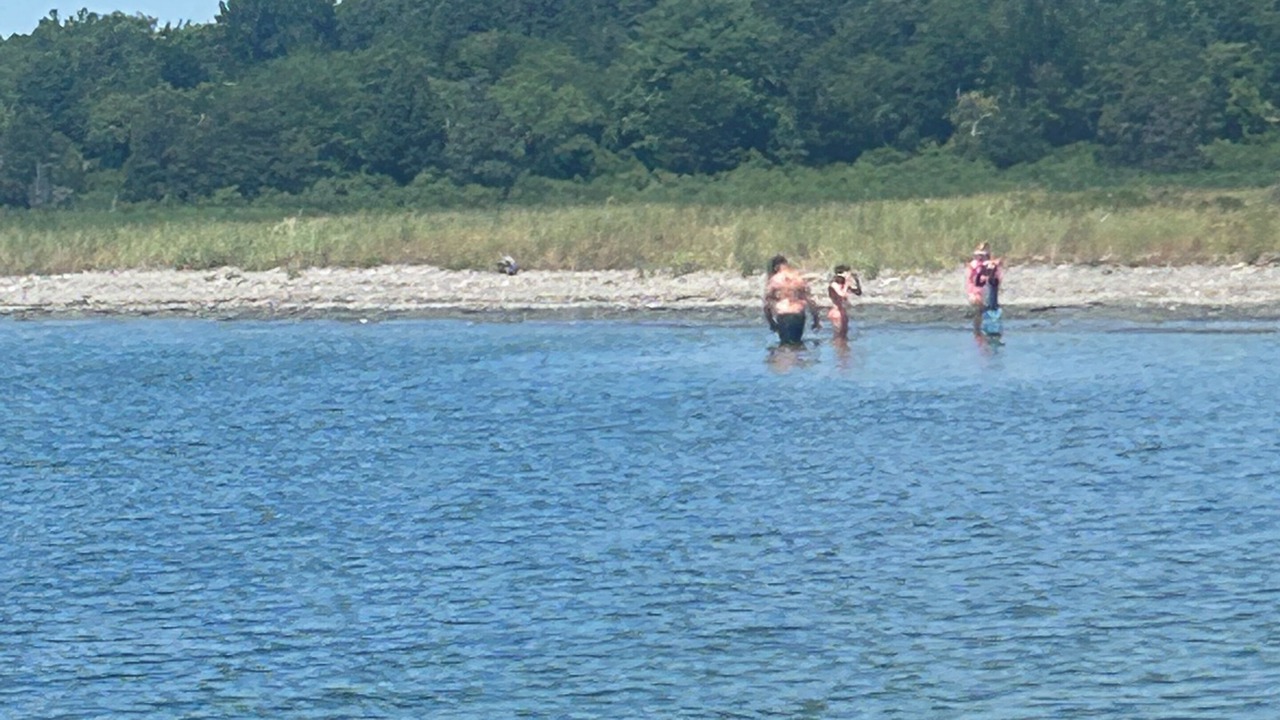 Photo of Others in Melville