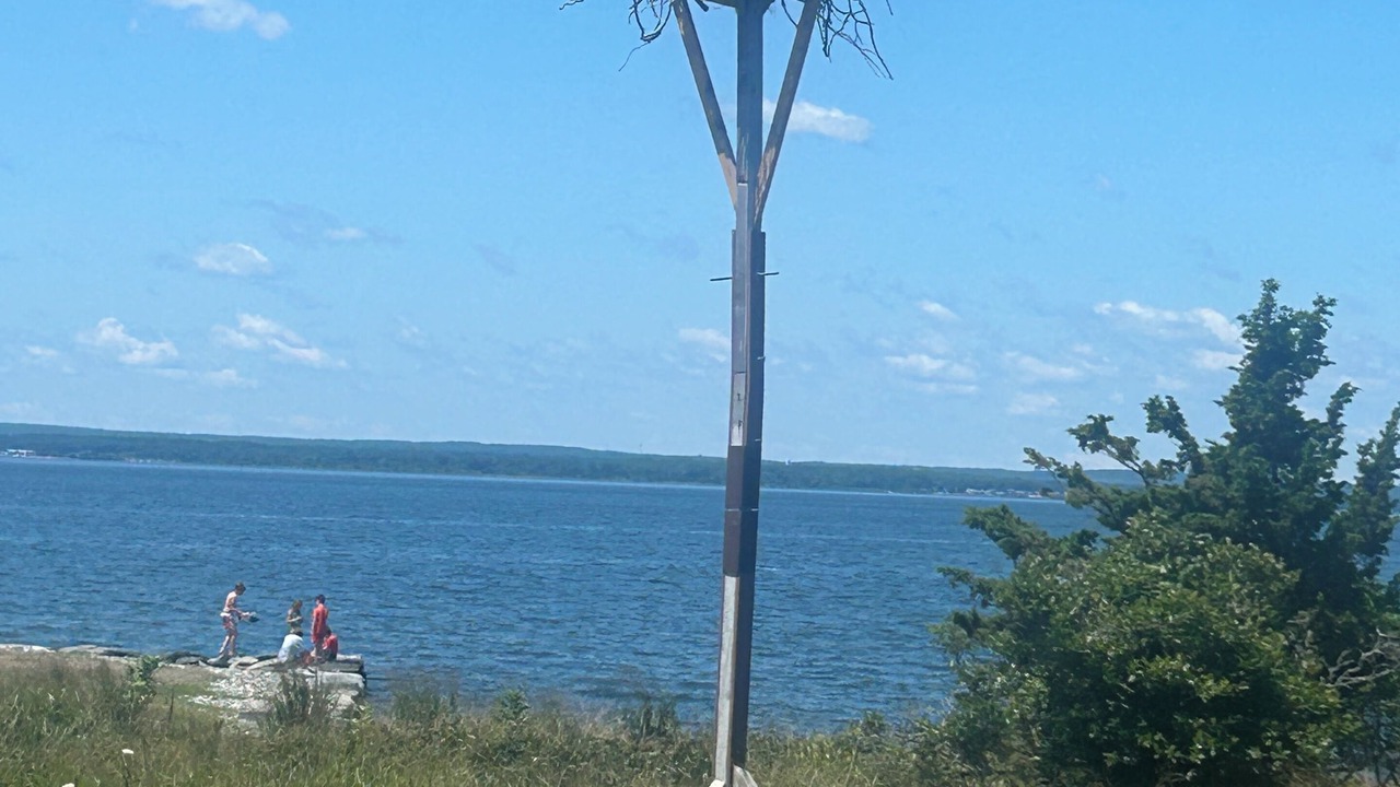 Photo of Others in Melville