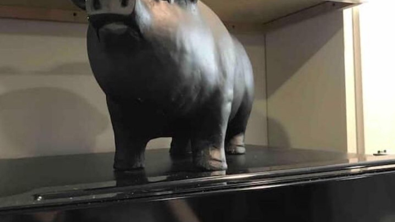 Photo of Others in Van Buren