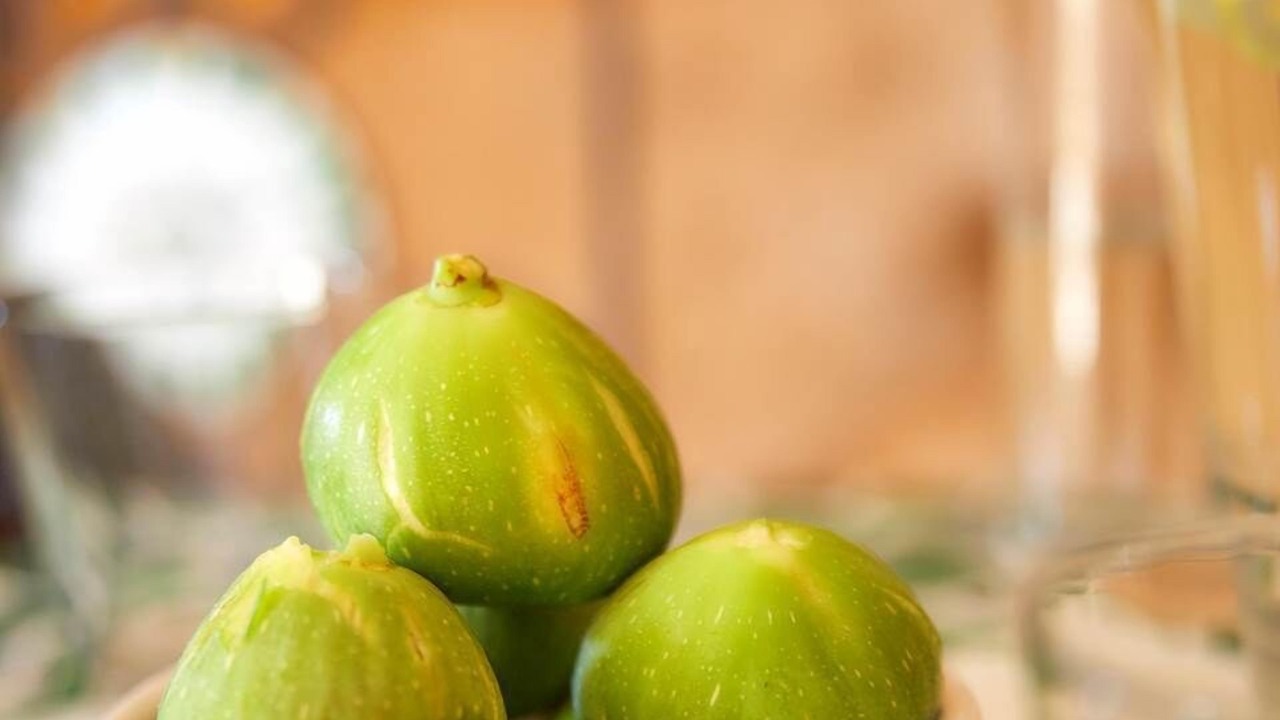 Photo of Others in Vitrac