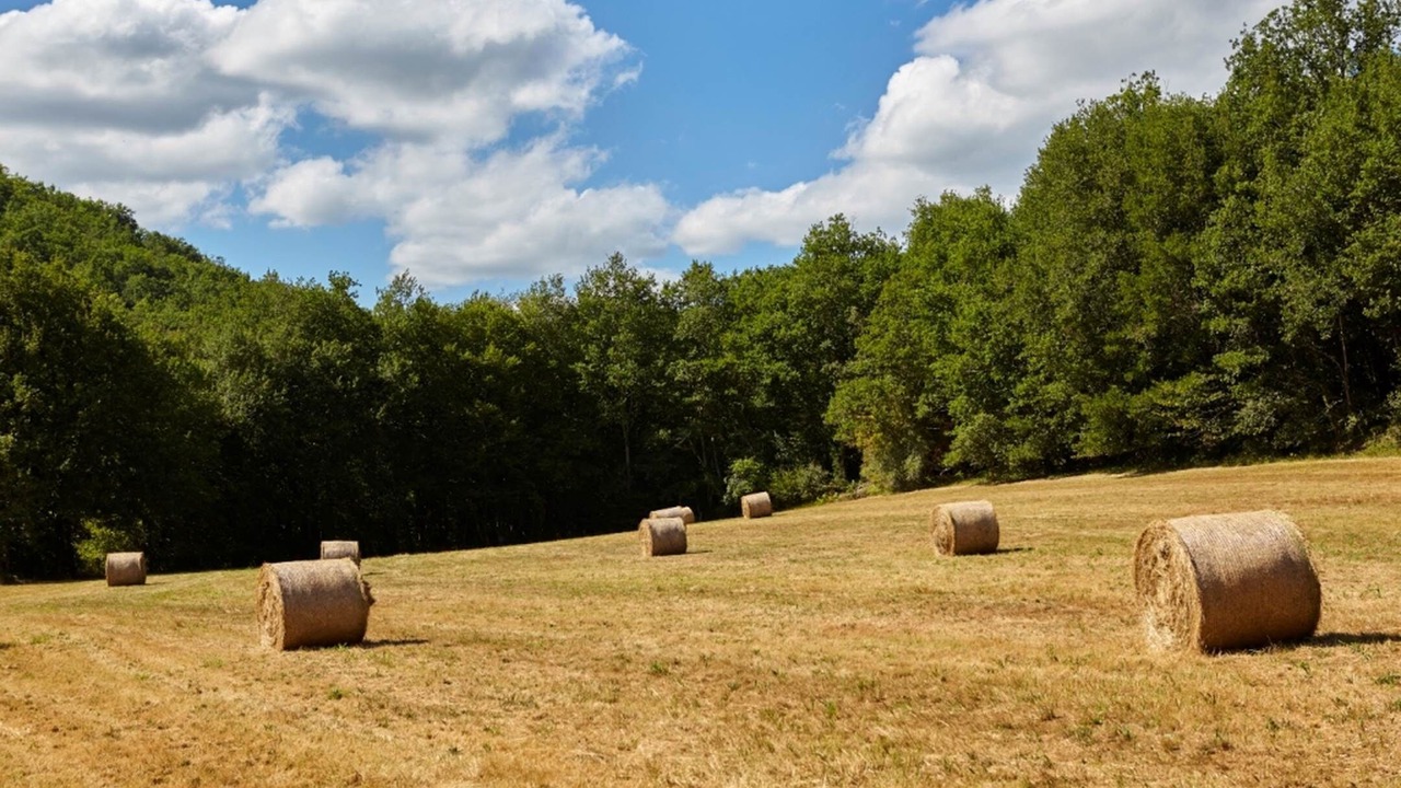 Photo of Others in Vitrac