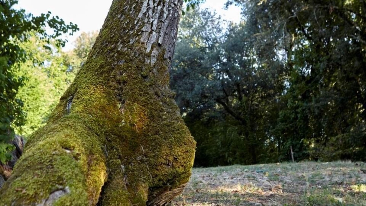 Photo of Others in Vitrac