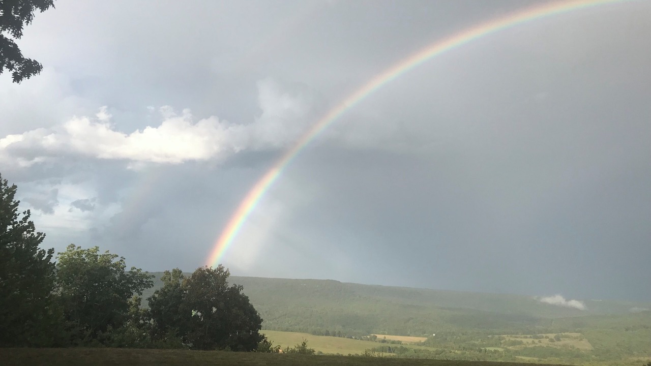 Photo of Others in Carroll County