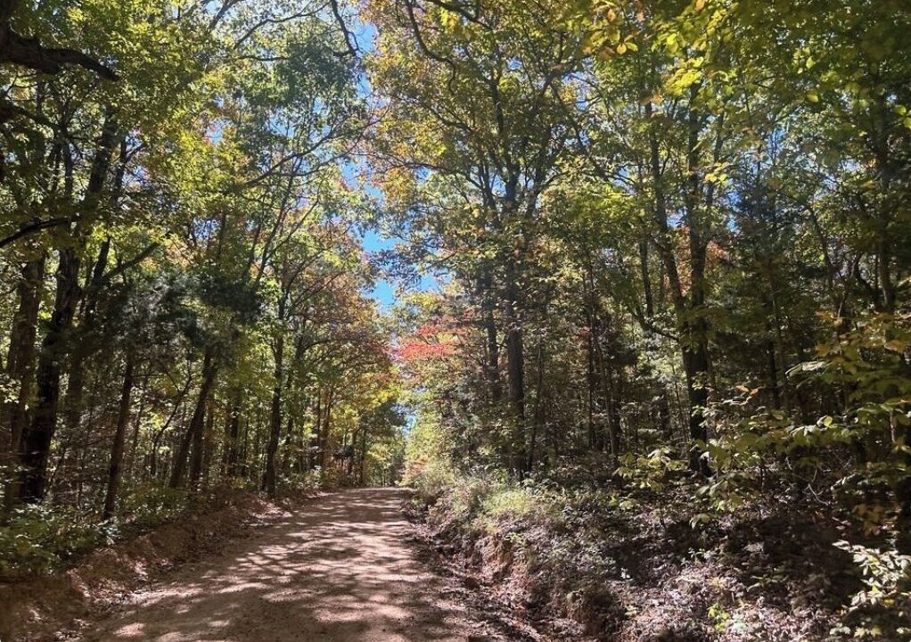 Photo of Others in Carroll County