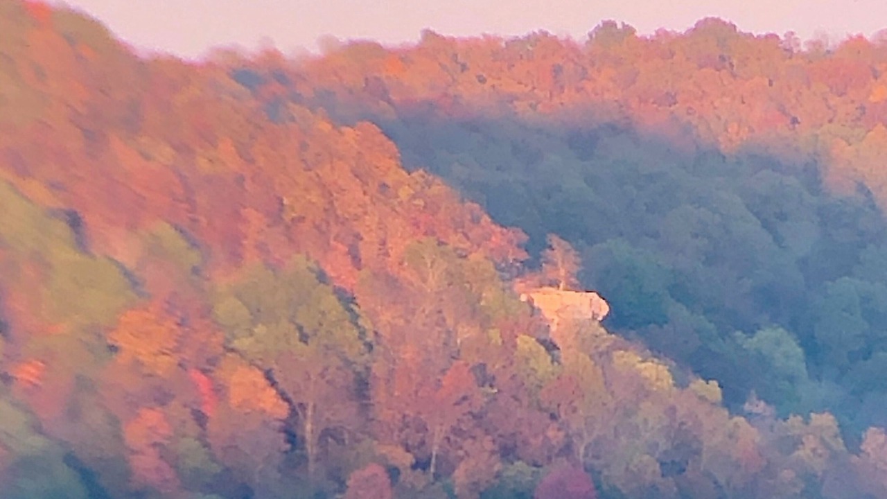 Photo of Others in Carroll County