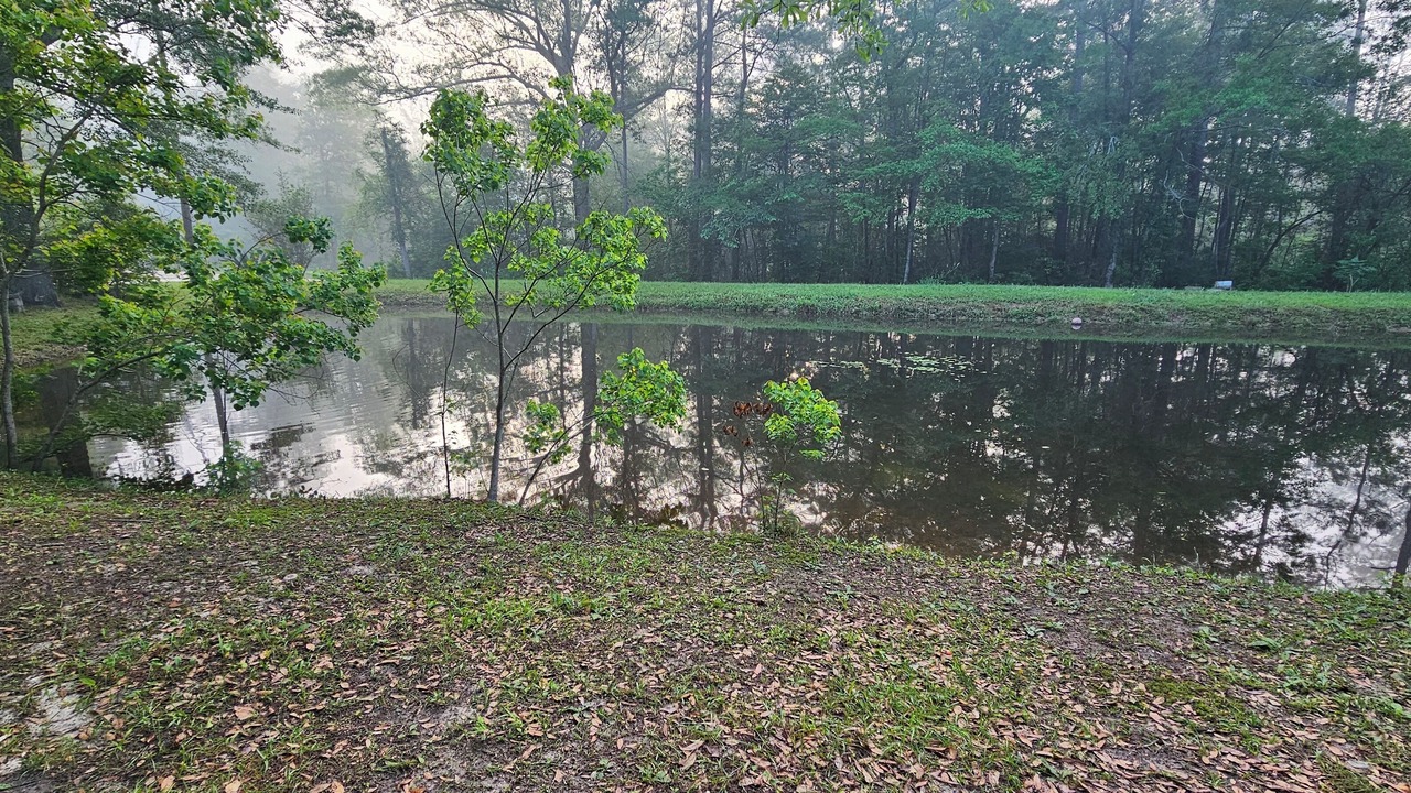 Photo of Others in Purvis