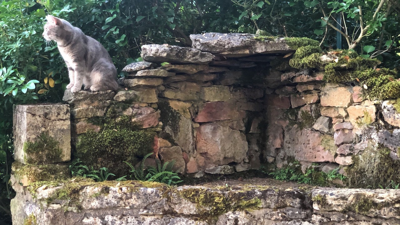 Photo of Outdoor in Saint-Germain-de-Belves