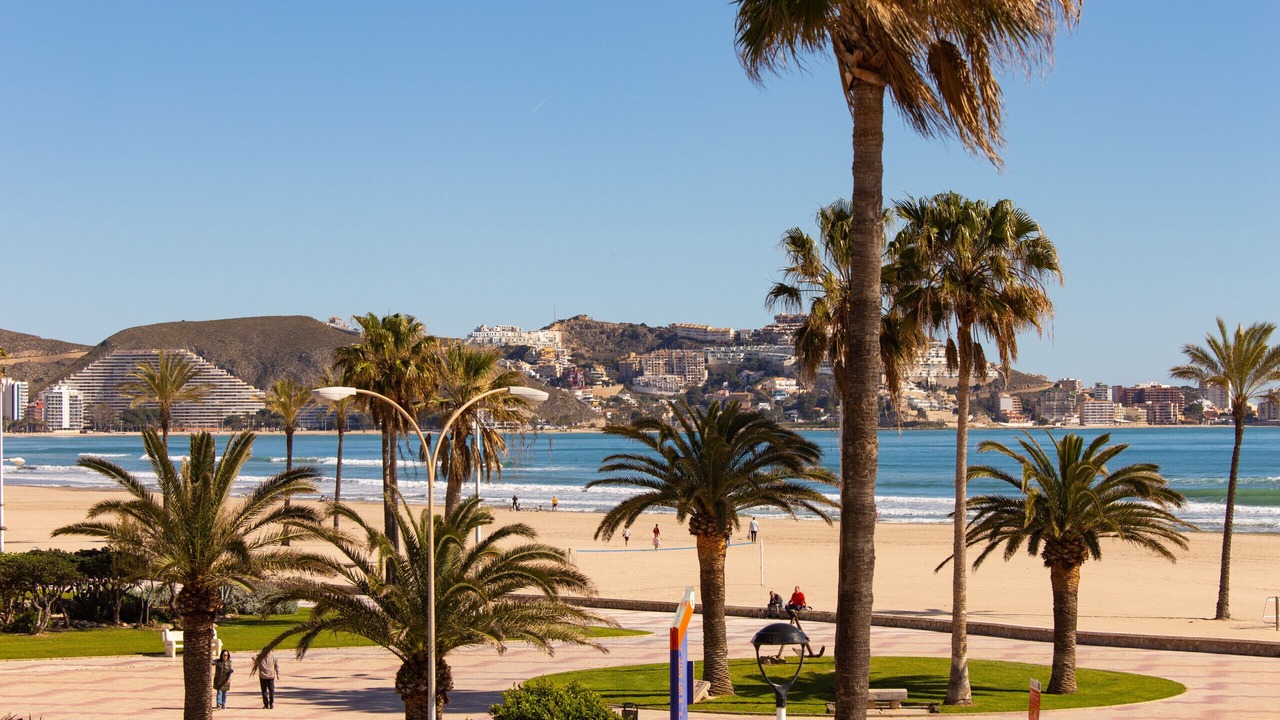 Photo of Others in Cullera